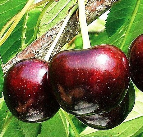 Саммит